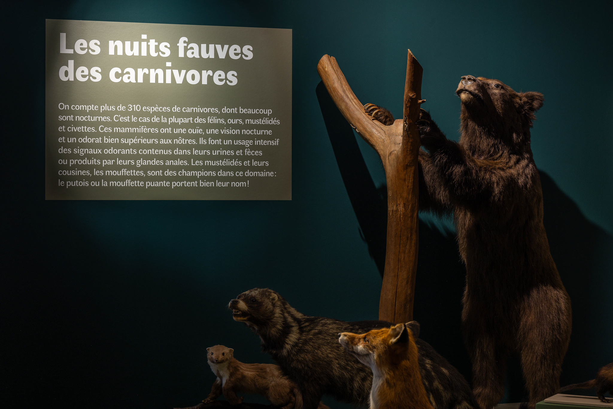 Photo de l'exposition
