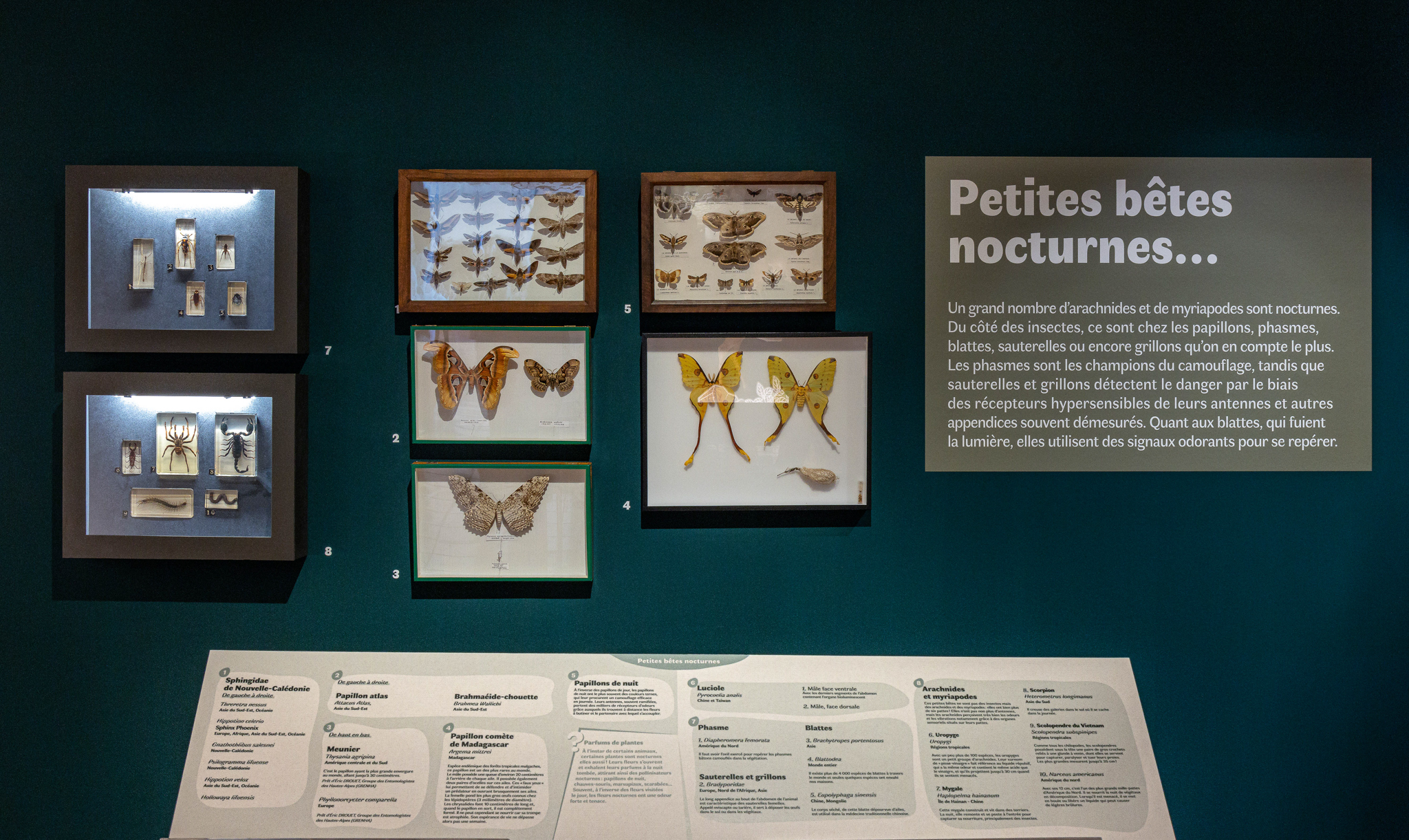 Photo de l'exposition