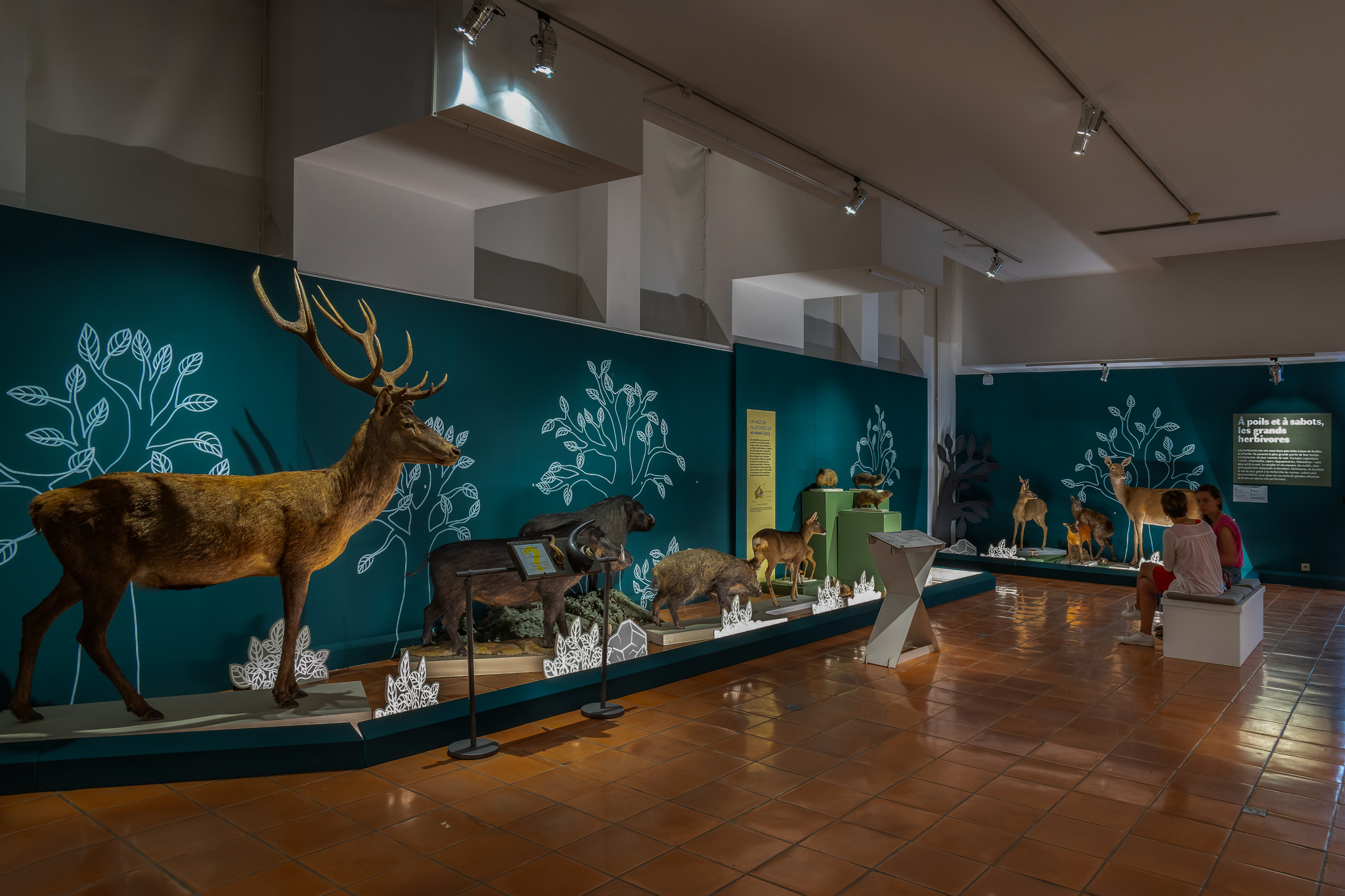 Photo de l'exposition