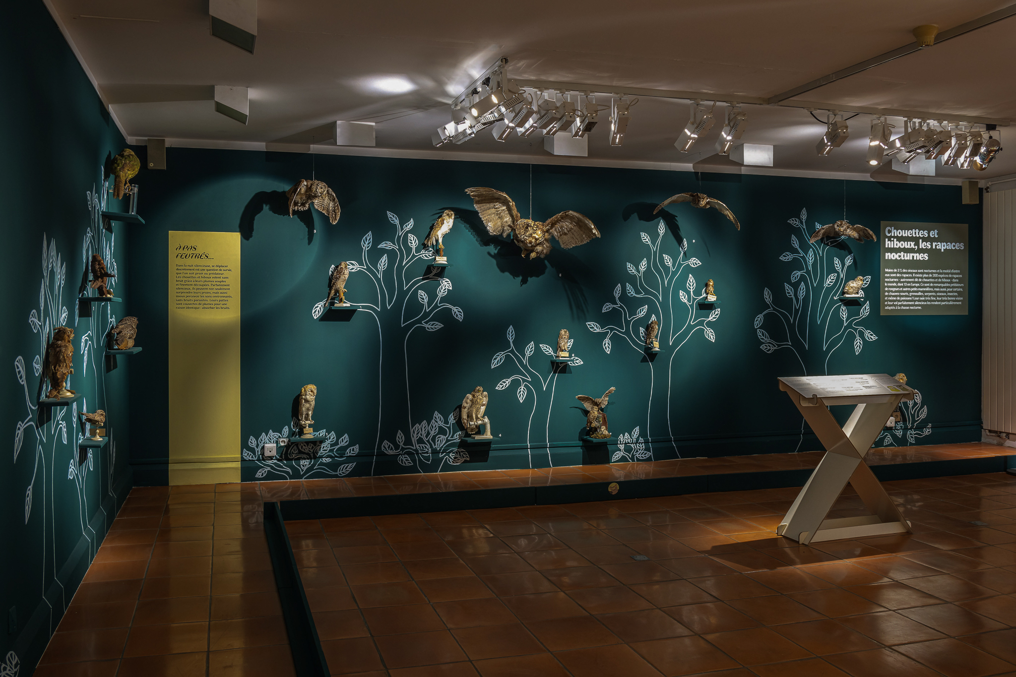 Photo de l'exposition