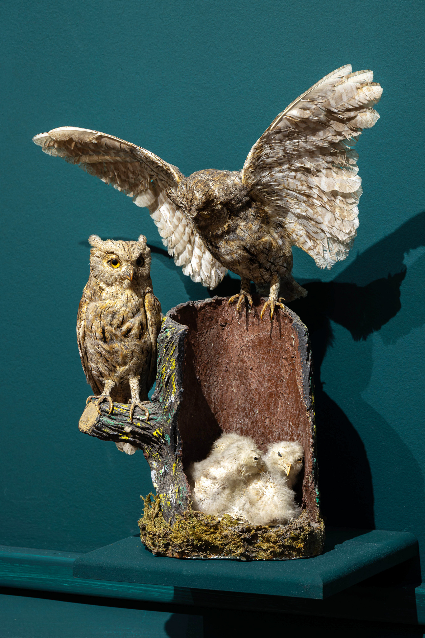 Photo de l'exposition