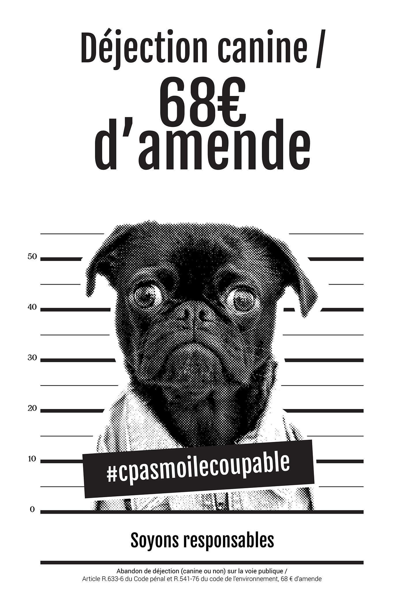 Affiche concernant les crottes de chiens